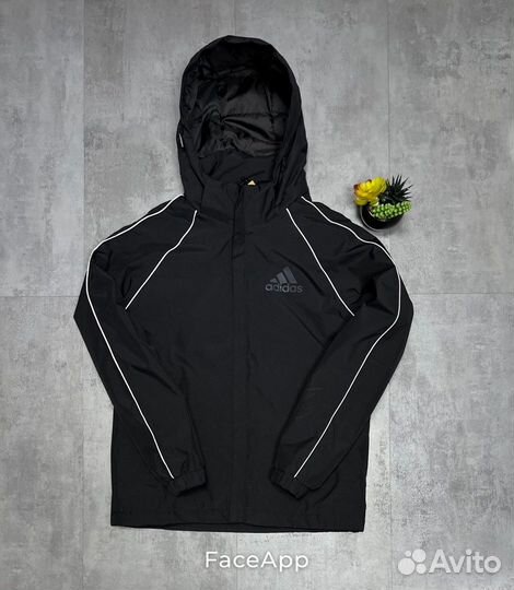 Куртка мужская Adidas