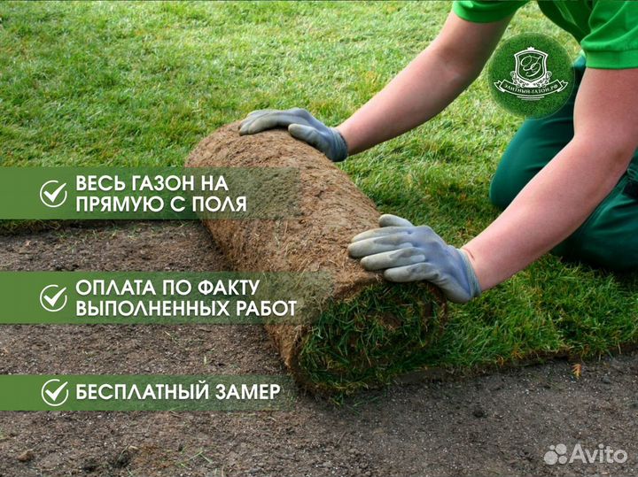 Рулонный газон с бесплатным замером