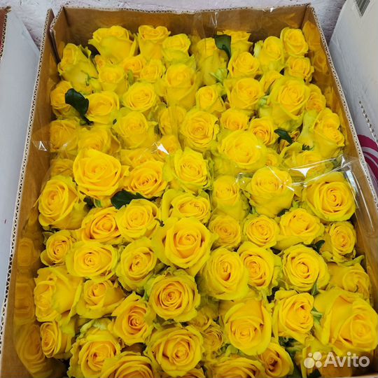 Розы с доставкой, букеты из роз