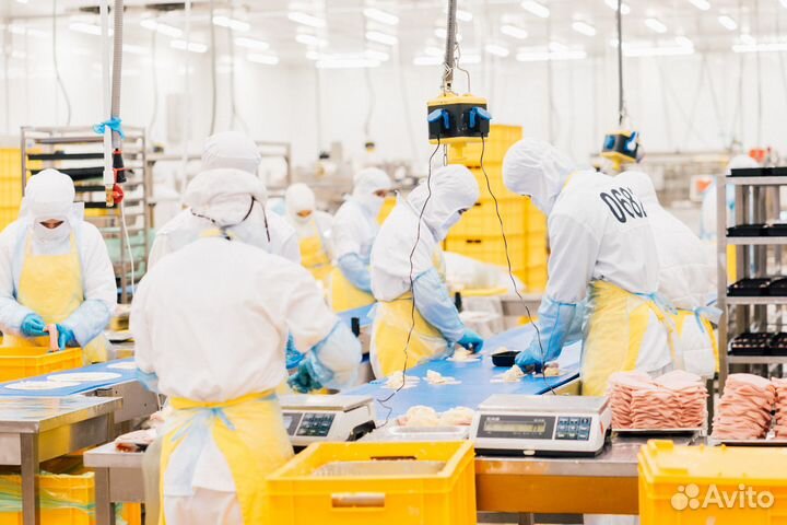 Повар вахта