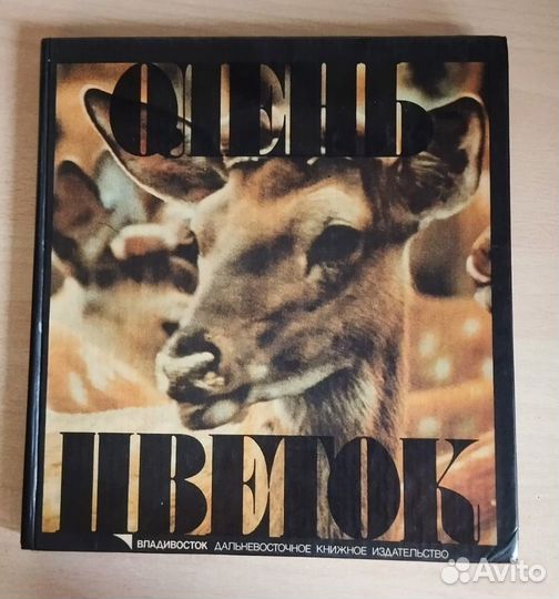 Книга-фотоальбом 