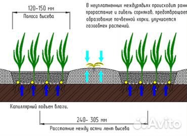 Комплекс посевной Агромастер Agrator 9800, 2022