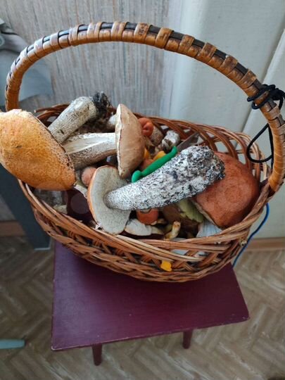 Участок 100 сот. (СНТ, ДНП)