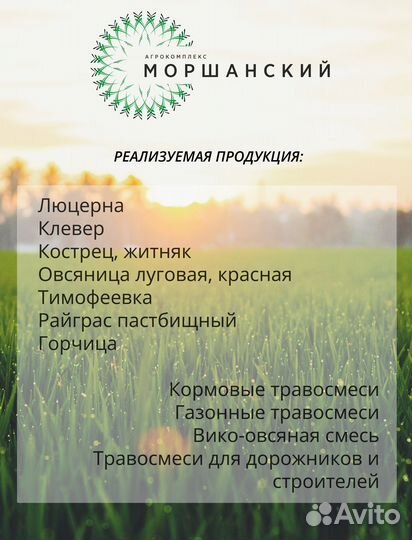 Семена трав