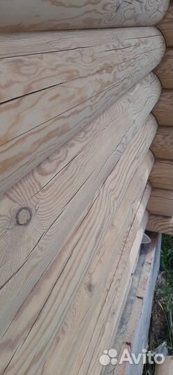 Шлифовка сруба