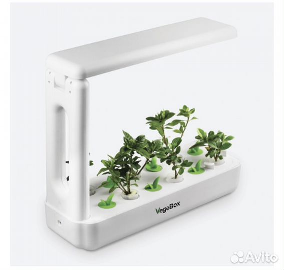Настольная садовая ферма VegeBox (гидрапоника)