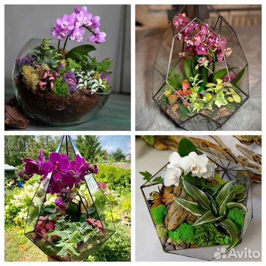 Орхидариумы