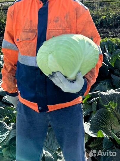 Фермерские продукты