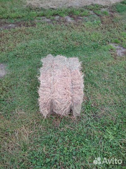 Сено в тюках