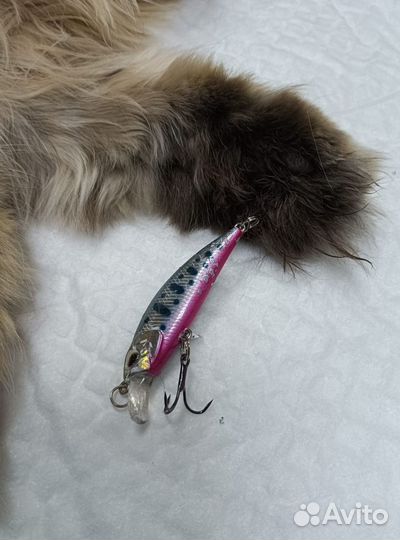 Удаление инородных тел у собак и кошек