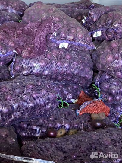 Овощи оптом/розница доставка для хранения