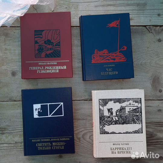 Серия книг Пламенные Революционеры