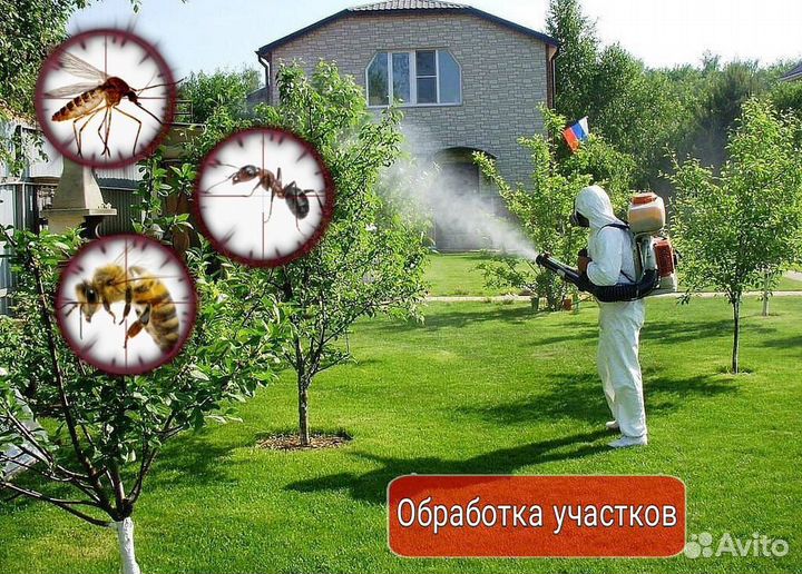Уничтожение насекомых:тараканы, клопы,блохи и т.д