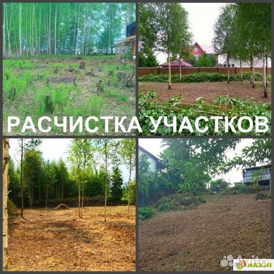 Расчистка участка Сергиев Посад