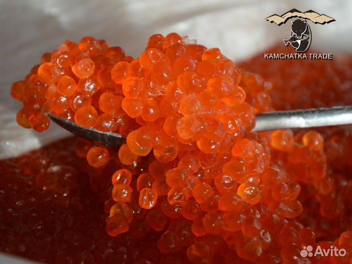 Красная икра