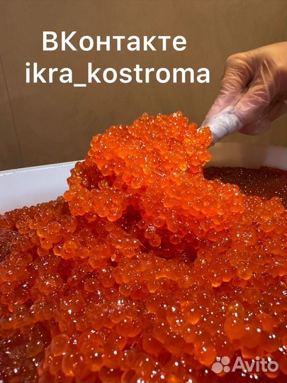 Икра красная горбуши