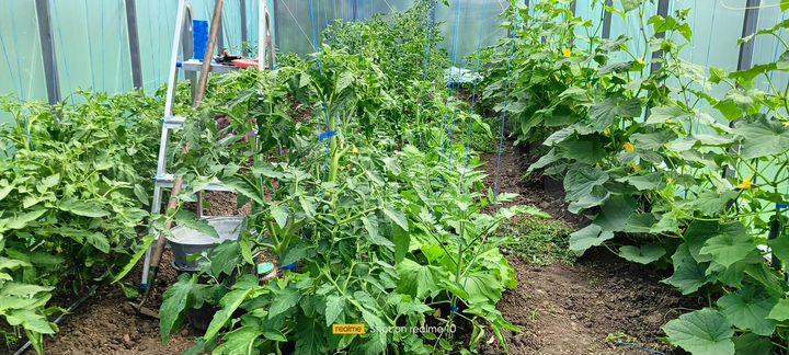 Коттедж 83 м² на участке 8 сот.