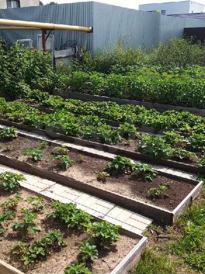 Коттедж 231 м² на участке 12 сот.