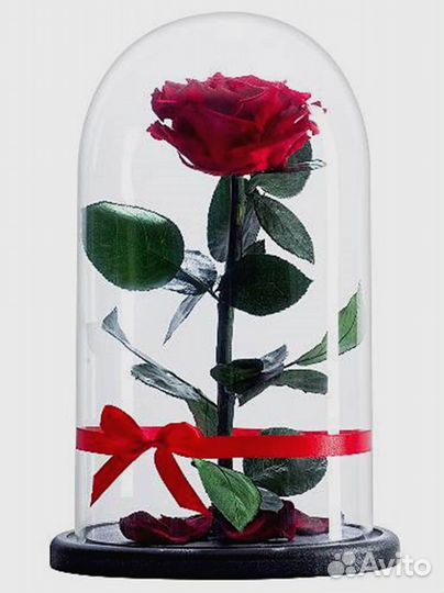 Роза в колбе