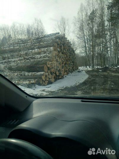 Дрова березовые