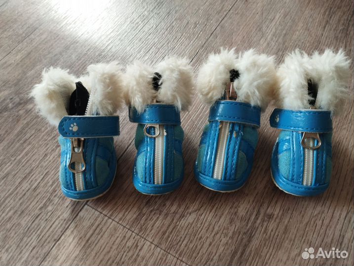 Ботинки для собак мелких пород