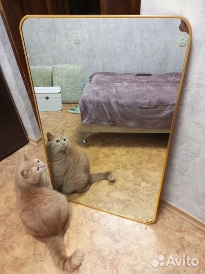 Зеркало большое