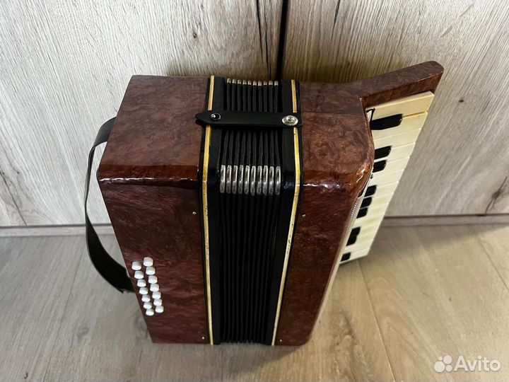 Аккордеон