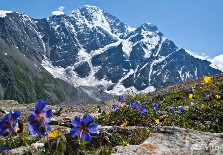 Приэльбрусье. 13-18 августа 2024