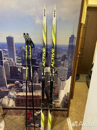 Беговые лыжи