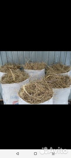 Продам солому