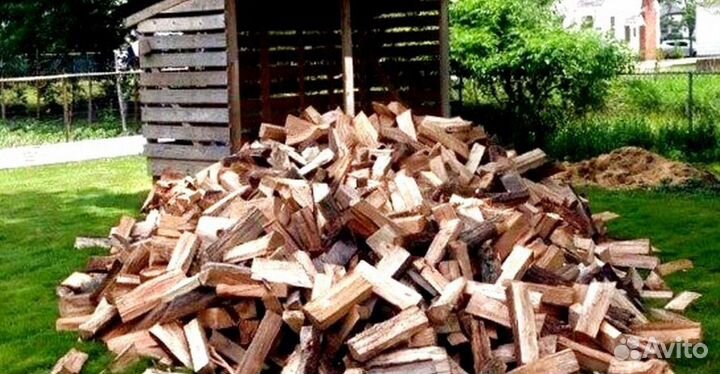 Дрова ольха осина