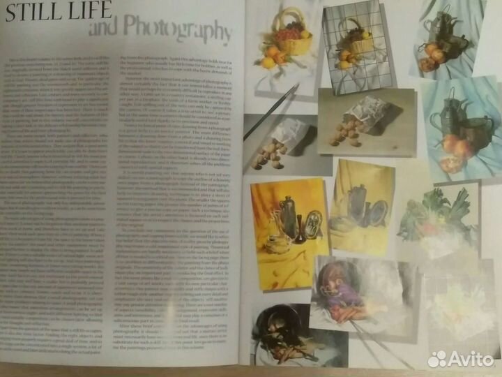Leonardo Collection: Still Life