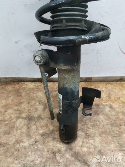 Амортизатор подвески передний левый Ford Focus 2