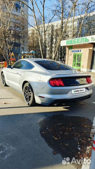 Ford Mustang 2.3 AT, 2018, 26 916 км