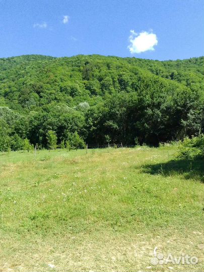 Покос травы