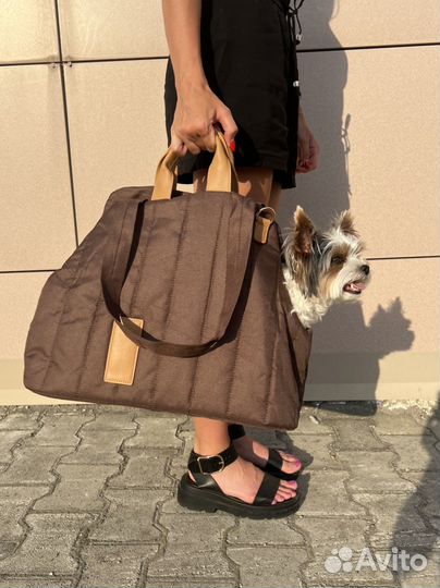 Сумка-переноска-автокресло для животных