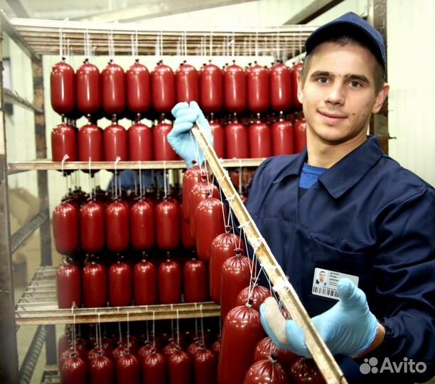 Грузчик/упаковщица питание проживание бесплатно