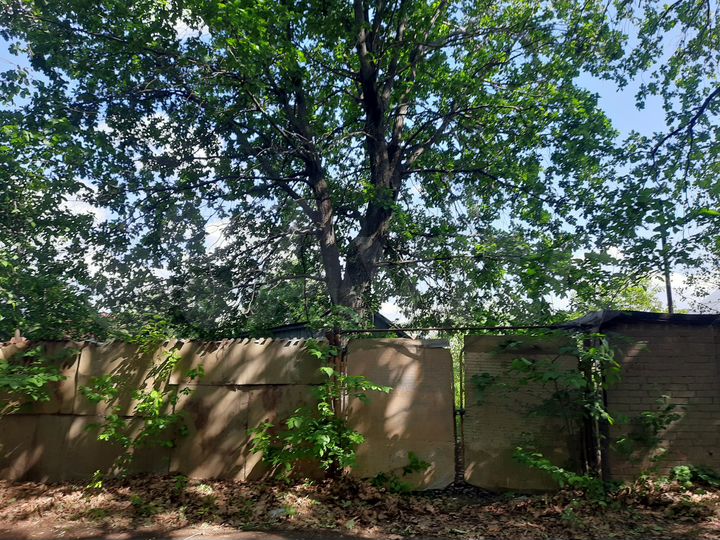 Участок 10,7 сот. (СНТ, ДНП)