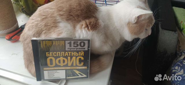 Программный мл диск