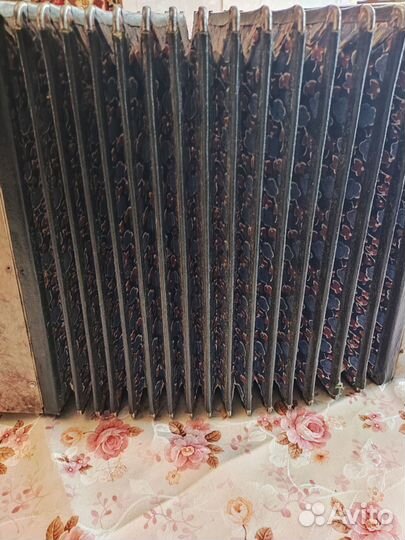 Гармонь любительская