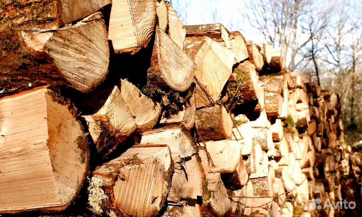 Дрова ольха