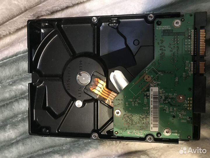 Жесткий диск wd 250 gb