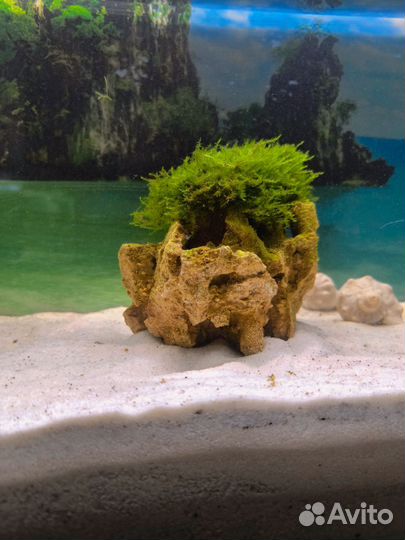 Стильный дизайнерский камень для аквариума