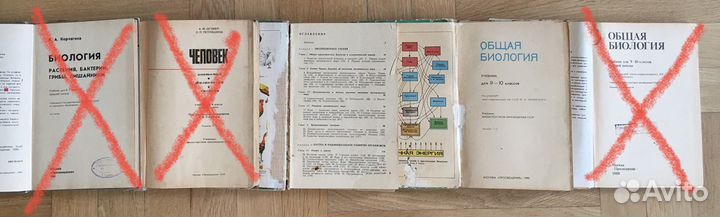 Учебники СССР, Ландсберг