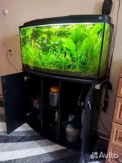 Аквариум с рыбками
