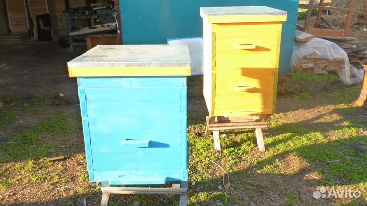 Улья Рамки на 2024