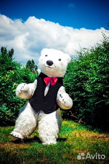 Поздравление от ростовых кукол Белый Мишка и др