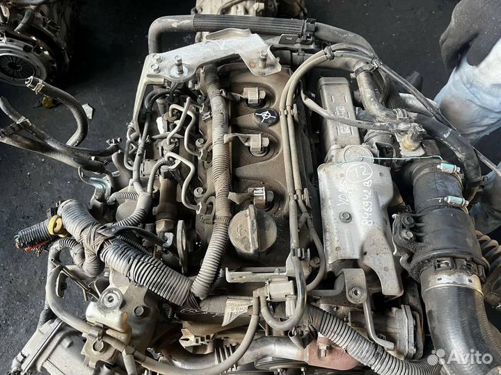 Двигатель YD25DDTi Nissan