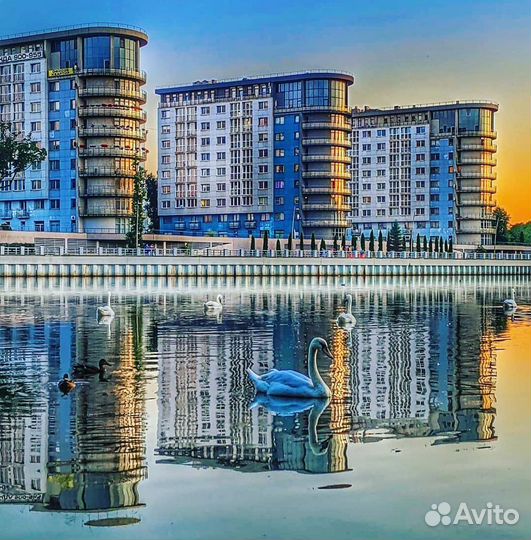 Разнорабочие оплата ежедневная