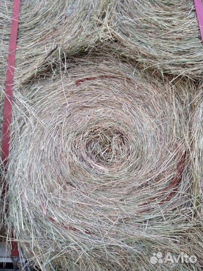 Сено покос 2023